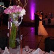 Lisa Hernandez's photo