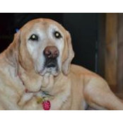 Jill Garlock's photo