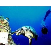Mitch Clarke's photo