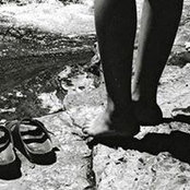 Carol Schoffs foto