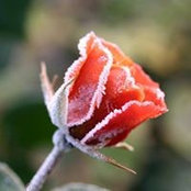 An An's photo