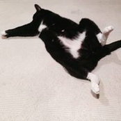Tatsuya Kawamura's photo