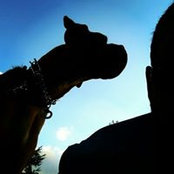 Ali Öğünçer's photo