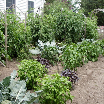 Edible garden