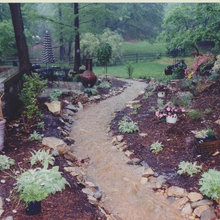 Backyard Landscaping