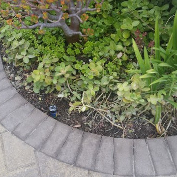 Laguna Niguel Driveway & Backyard Pavers Patio Project
