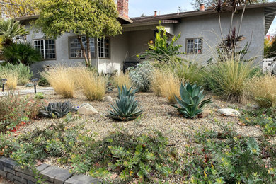 Imagen de jardín de secano de estilo americano de tamaño medio en patio delantero con paisajismo estilo desértico