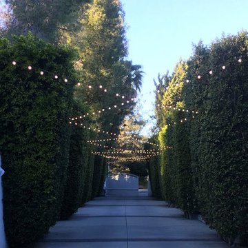 Bistro Lights