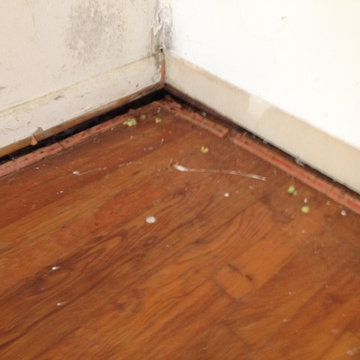 Structural Repair