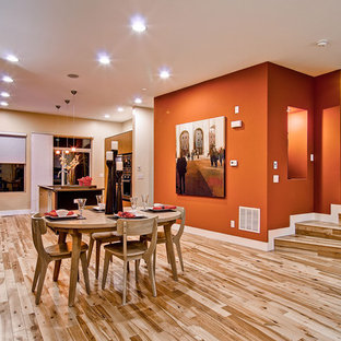 Moderne Wohnküche mit oranger Wandfarbe und braunem Holzboden in Denver