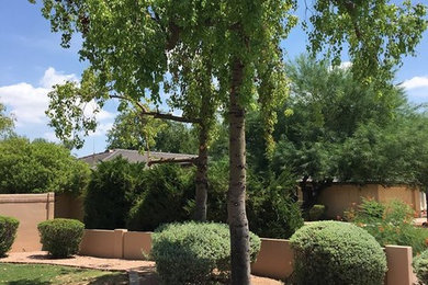 Photo of a landscaping in Phoenix.