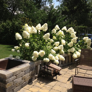 Perennial Gardens
