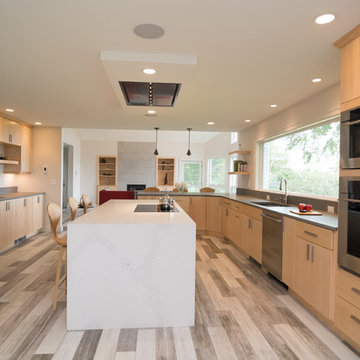Full-Access Contemporary Kitchen