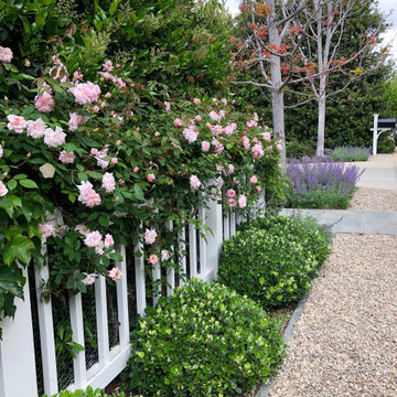 Evergreen Planting and white Fencing