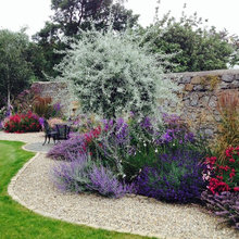 Landscape Ideas