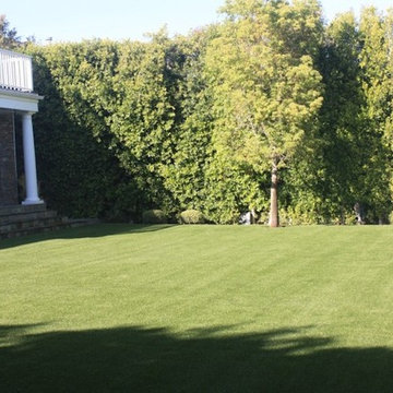 Turf