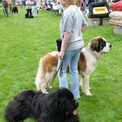 Michelle Bennett's photo
