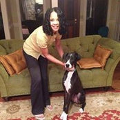 SV Powells foto