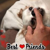 Rosalyn Scheffel's photo