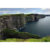 Susan McClune's photo