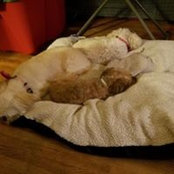 Kay Recker's photo