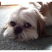Heather Spivak's photo