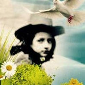 Eileen Anselment's photo
