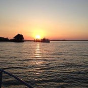 Anne Levers's photo