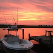 Kip Johnson's photo