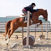 Christine Lopez's photo
