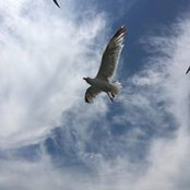 Karen Silvers's photo