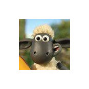 Bill Williams's photo