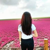 Jinglia Tay's photo