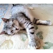 Stephanie Edwards's photo