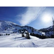 Joe Della Noce's photo