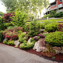 Landscape Ideas
