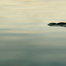 Photography - Photographs