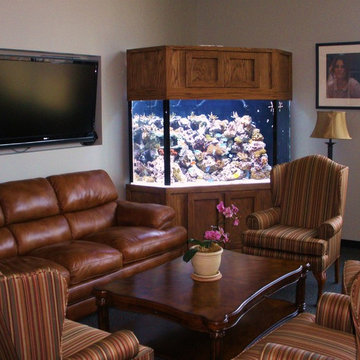 A portfolio of custom aquariums from our 17+ year history.