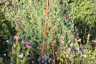 Rusty plant obelisks