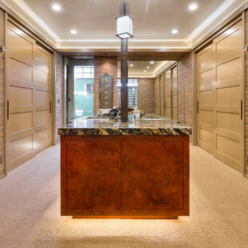 Master Bedroom Walk-In Closet  Remodel