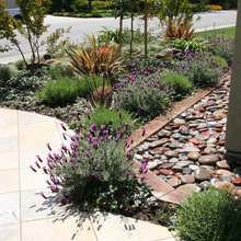 Landscape Ideas