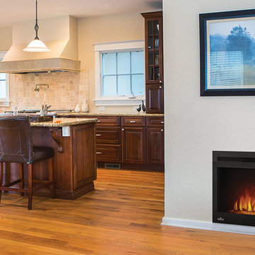 Electric Fireplaces - Napoleon