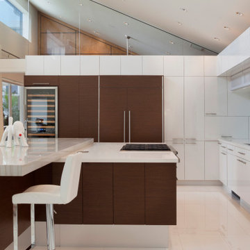 1st Place for Contemporary Kitchen - Crystal Cabinetry - Design Competition