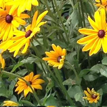 Flower Gardens of Westchester County, NY