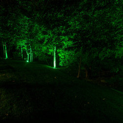 All Seasons Display - Landscape Lighting