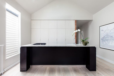 Inspiration for a contemporary kitchen in Melbourne with a double-bowl sink and light hardwood floors.