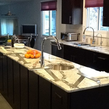 Contemporary Kitchen Remodel