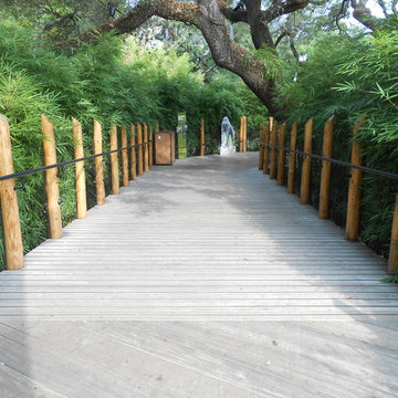 Houston TX Zoo- Ipe
