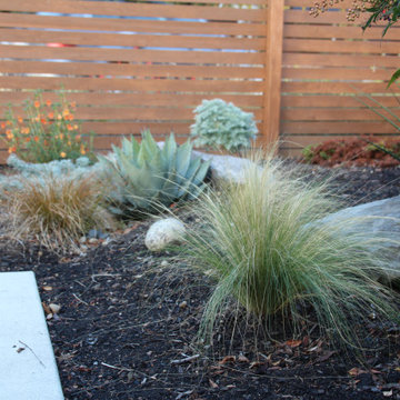 Vancouver Villa - front yard