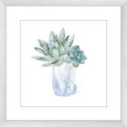 On the Windowsill Collection - Framed Art Prints (SILL03) - Artwork